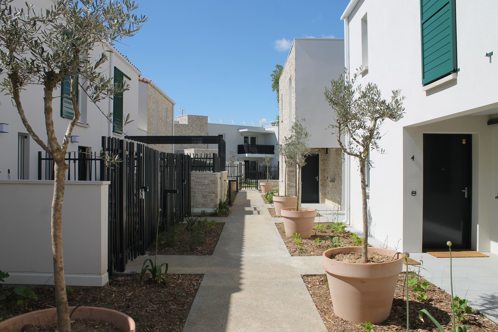 Vendargues — programme immobilier