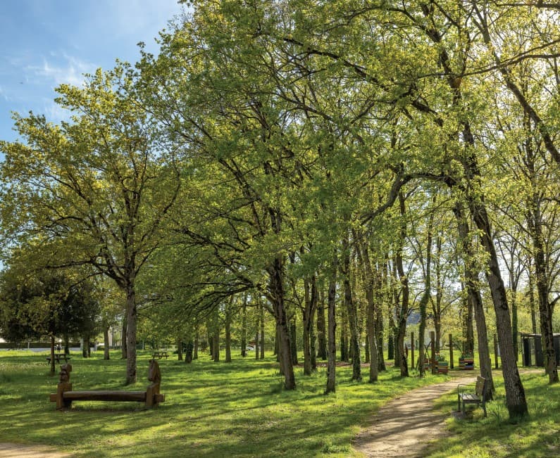 Pont-Pean — Située à Pont-Péan, au sud de Rennes et à seulement 12 kilomètres de la métropole bretonne, cette no... — Miniature 6