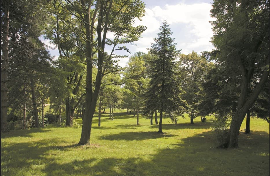 Pierrefitte-sur-Seine — Située au cœur de la Seine-Saint-Denis, dans la région Île-de-France, Saint-Denis séduit par son dyn... — Miniature 2