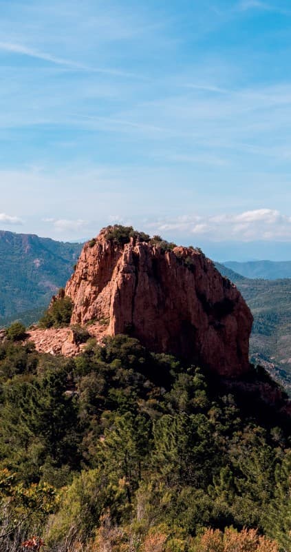le Muy — Située entre Draguignan et Fréjus, cette nouvelle résidence s’implante au cœur de la commune du Muy,... — Miniature 8