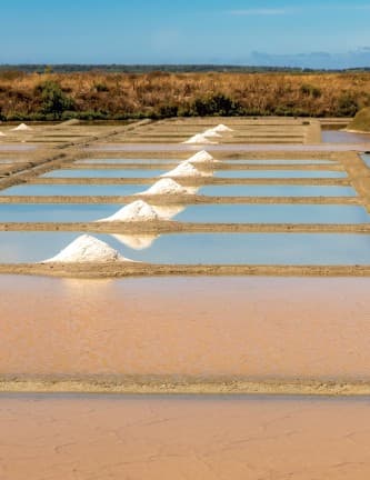 Guerande — Située entre terre et mer, la ville de Guérande séduit par son riche patrimoine historique et une at... — Miniature 10
