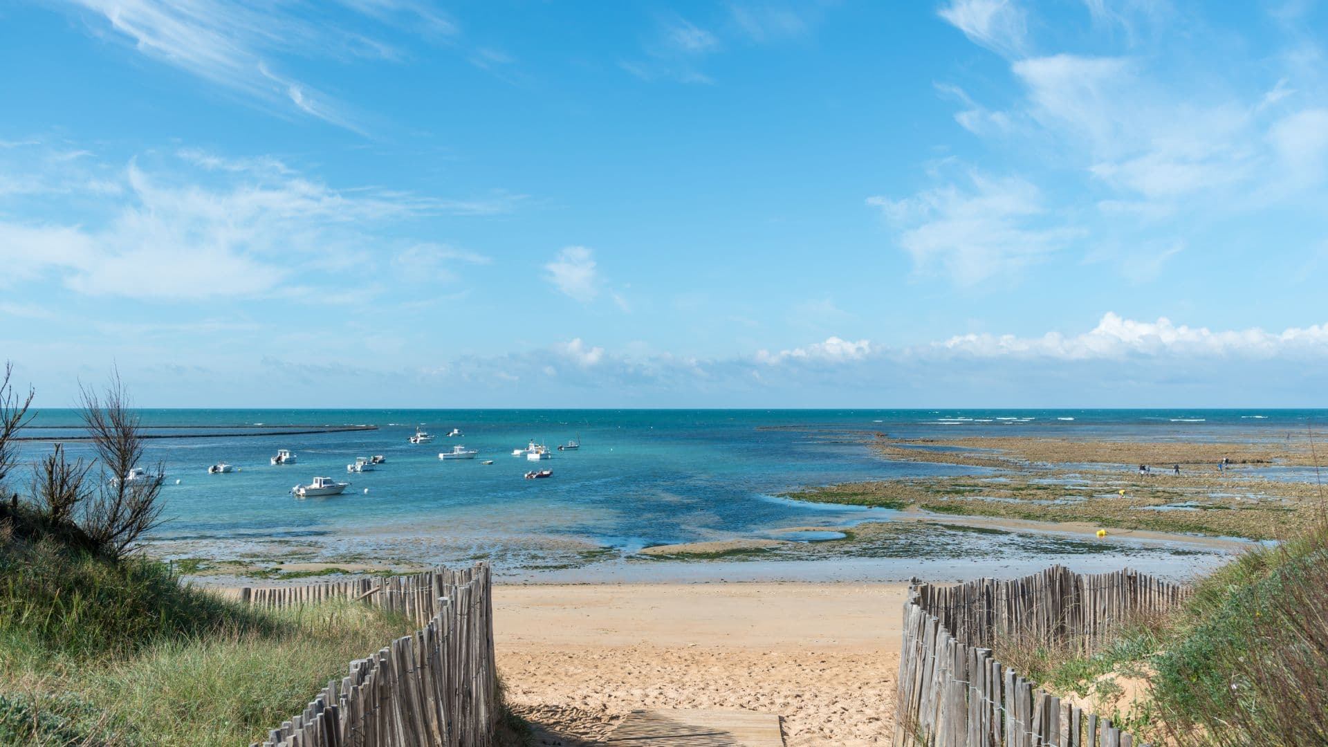 Saint-Georges-D-Oleron — Située sur l’île d’Oléron, cette réalisation bénéficie d’un environnement naturel exceptionnel, entr... — Miniature 8