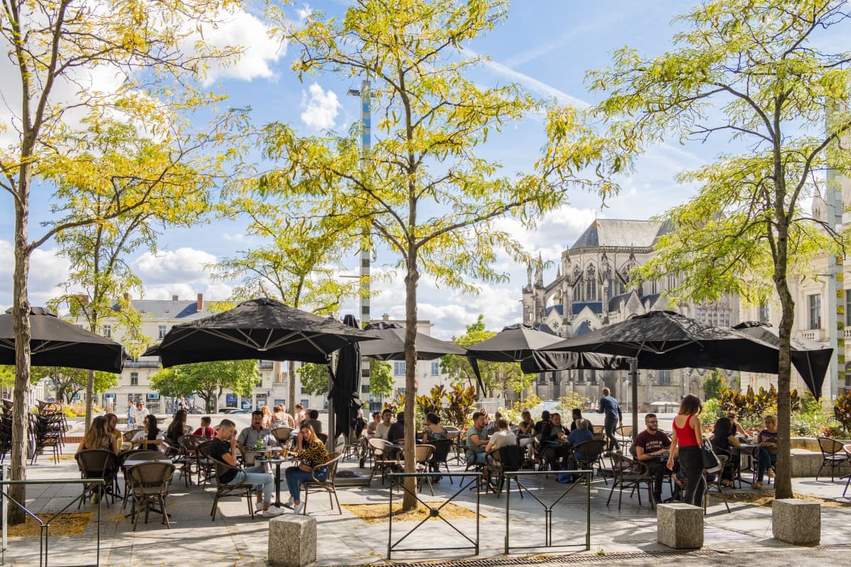 Cholet — Située dans un quartier résidentiel paisible à proximité immédiate du centre-ville de Cholet, cette ... — Miniature 6