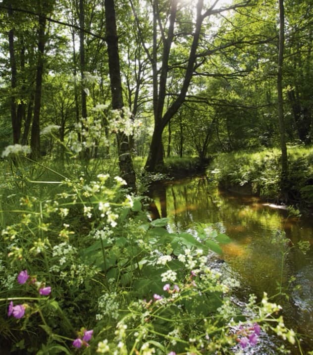 Orvault — Situé à Orvault, au sein d’un quartier dynamique traversé par la route de Vannes, ce projet résident... — Miniature 2