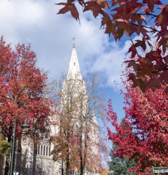 Orvault — Situé à Orvault, au sein d’un quartier dynamique traversé par la route de Vannes, ce projet résident... — Miniature 6