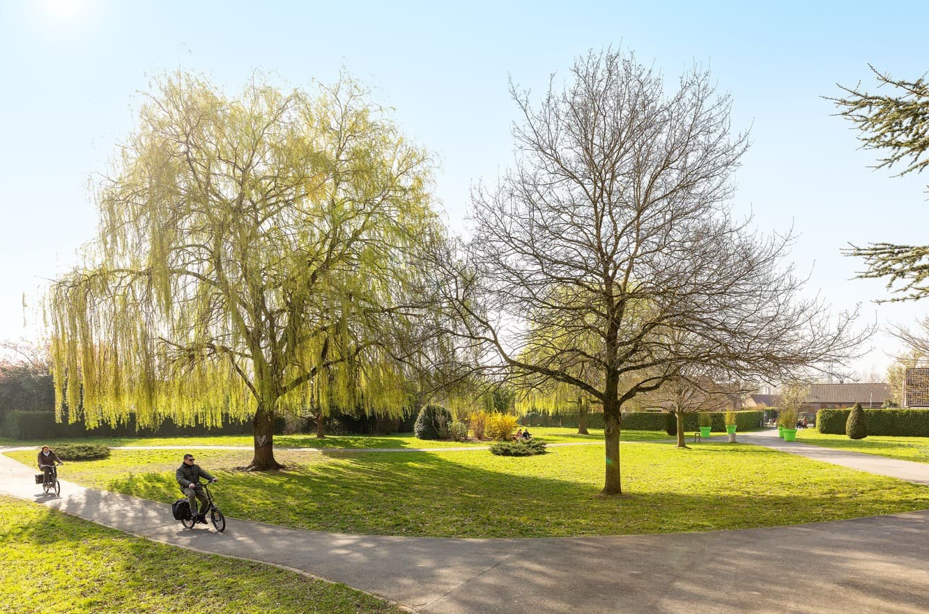 Orchies — Située à Orchies, cette résidence contemporaine propose des appartements de 2 à 4 pièces, chacun bén... — Miniature 5
