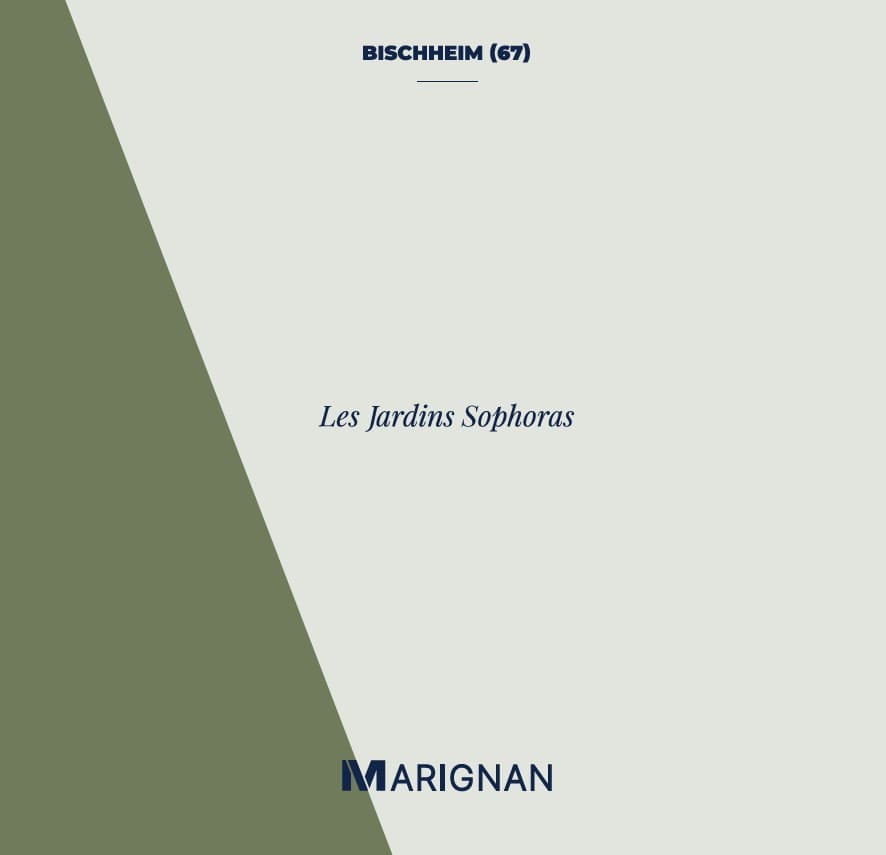 Bischheim — Située à Bischheim, cette nouvelle résidence propose un cadre de vie harmonieux à quelques minutes s... — Miniature 2
