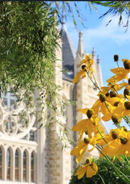 Orvault — À la lisière de Nantes, la commune d’Orvault séduit par son cadre de vie harmonieux, combinant l’ani... — Miniature 14