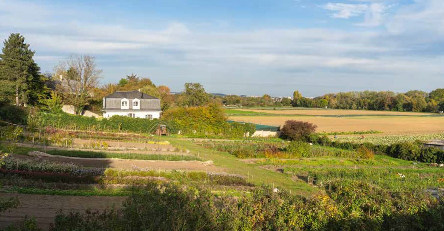 le-Mesnil-le-Roi — Programme neuf — Miniature 4