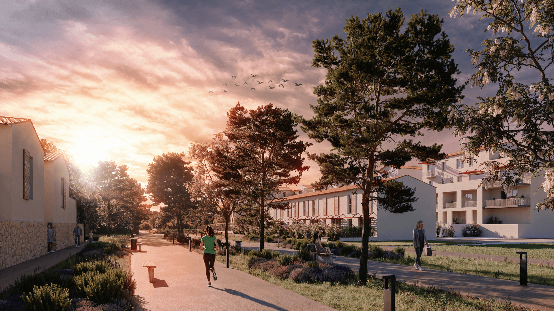 Chateaurenard — Programme neuf — Photo 1